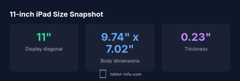 Infographic showing 11-inch iPad size dimensions