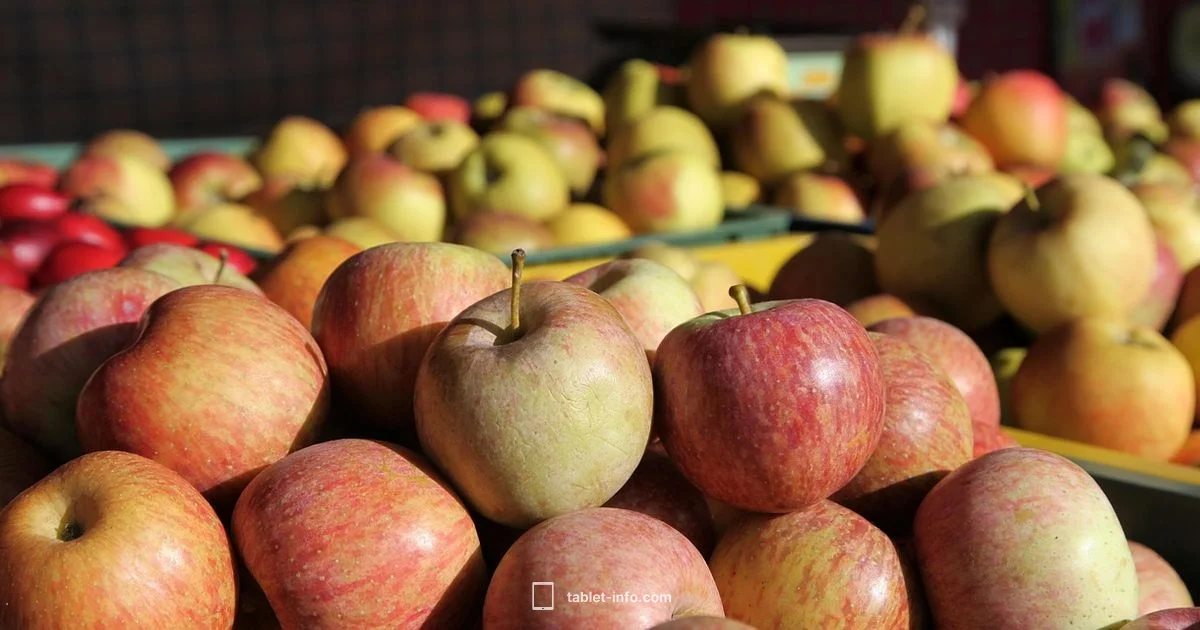 iPad Sale Outlook iPad Sale Outlook - Tablet Info