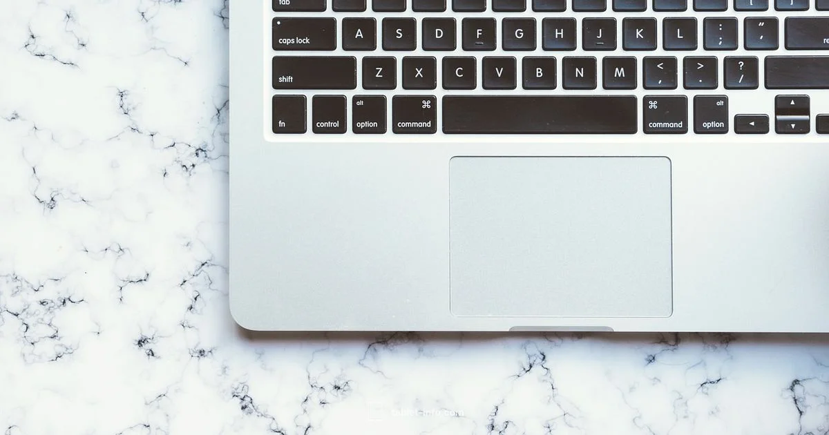 iPad-like Computer Guide - Tablet Info