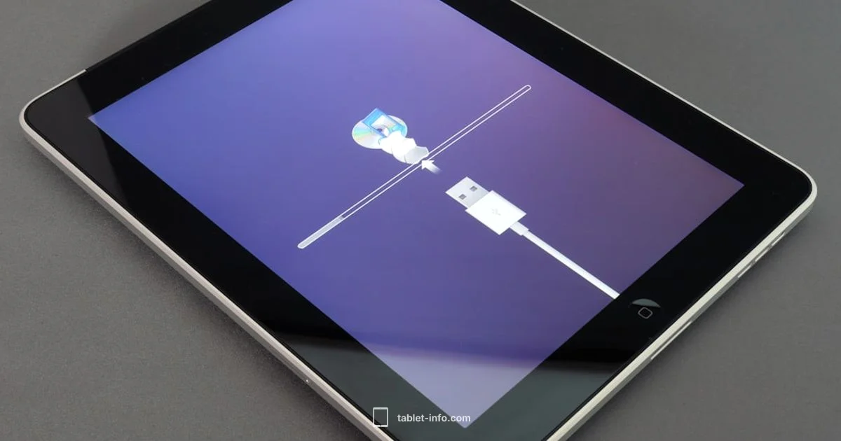 iPad SIM Guide - Tablet Info