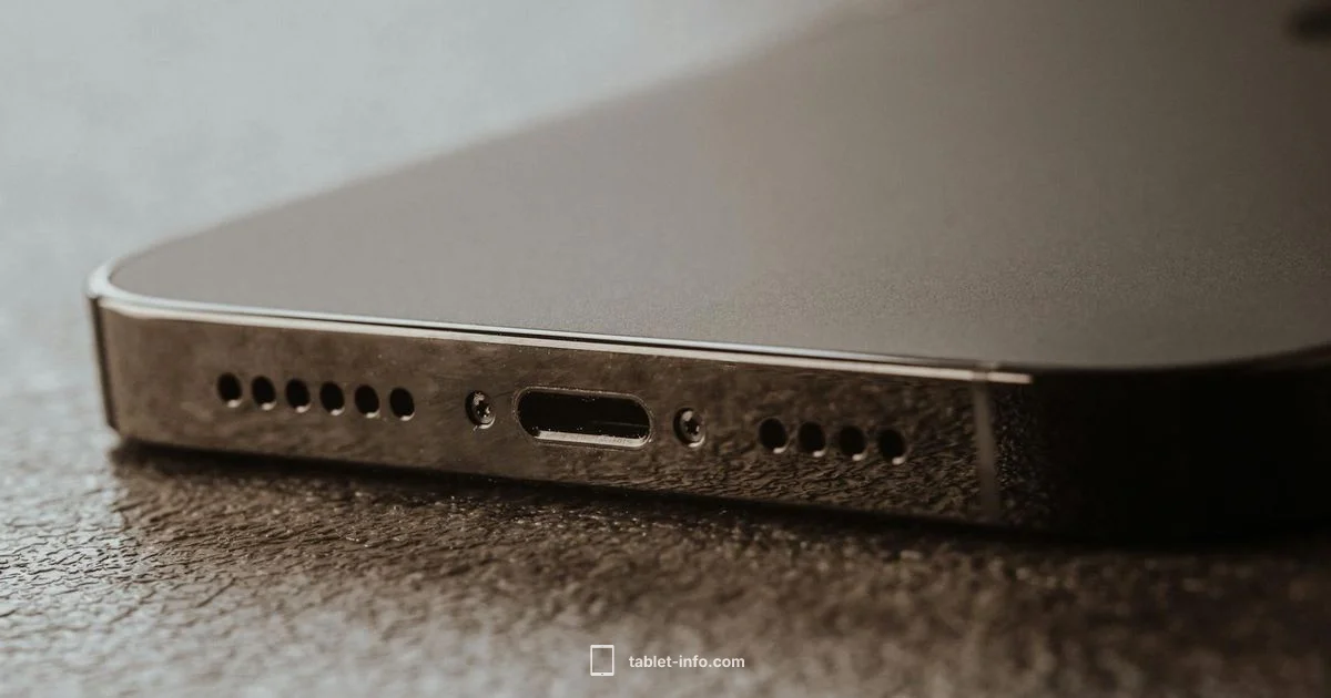 iPad Port Fix - Tablet Info