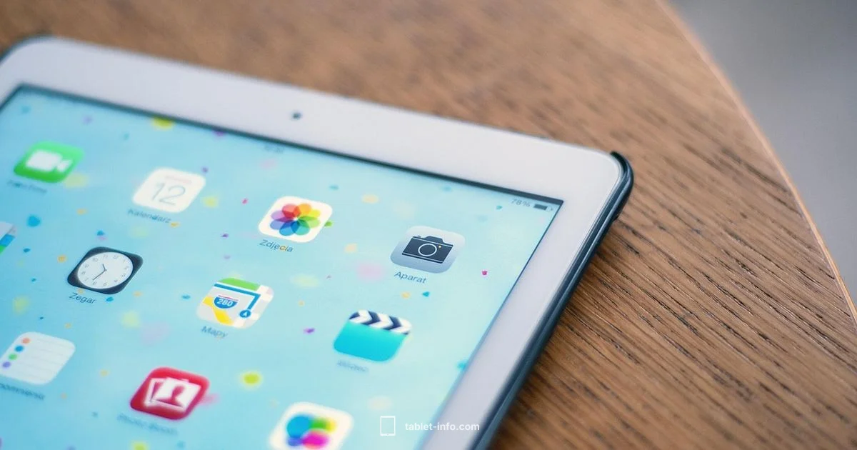 Drawing on PC Drawing on PC - Tablet Info