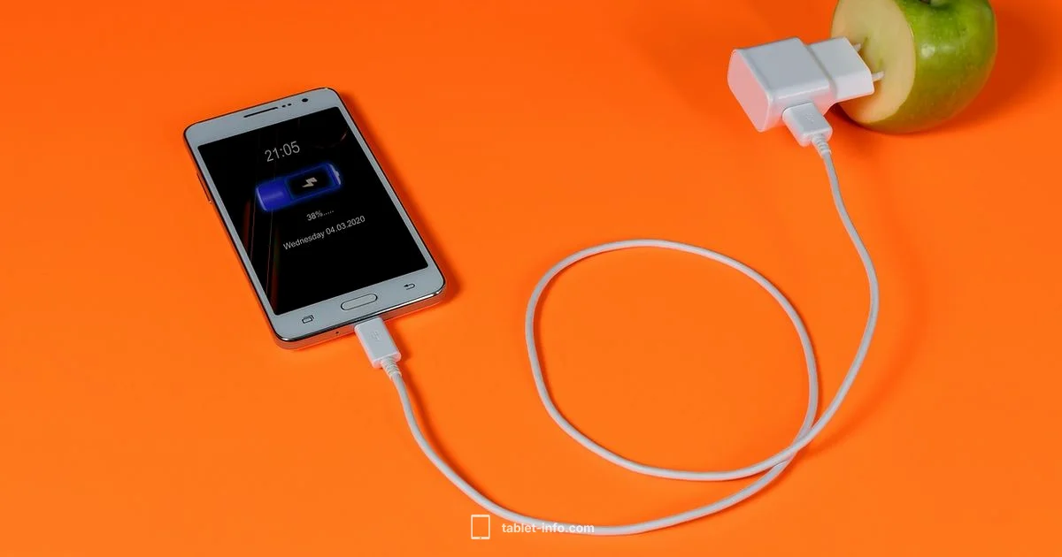 iPad Battery Guide - Tablet Info