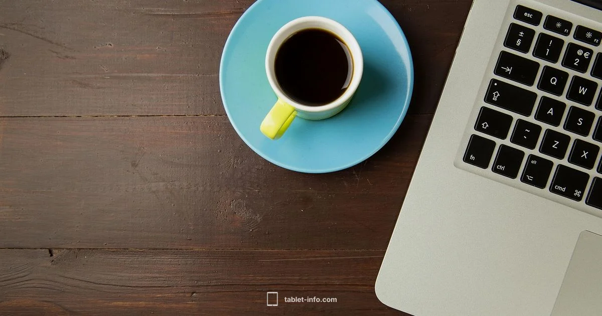 Affordable iPad mini Guide Affordable iPad mini Guide - Tablet Info