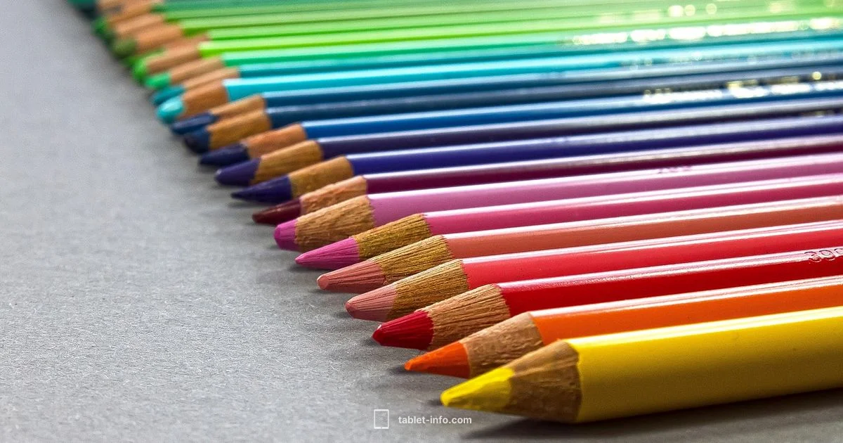 Vector on iPad - Tablet Info