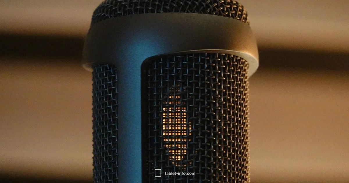 iPad Mic Fix - Tablet Info