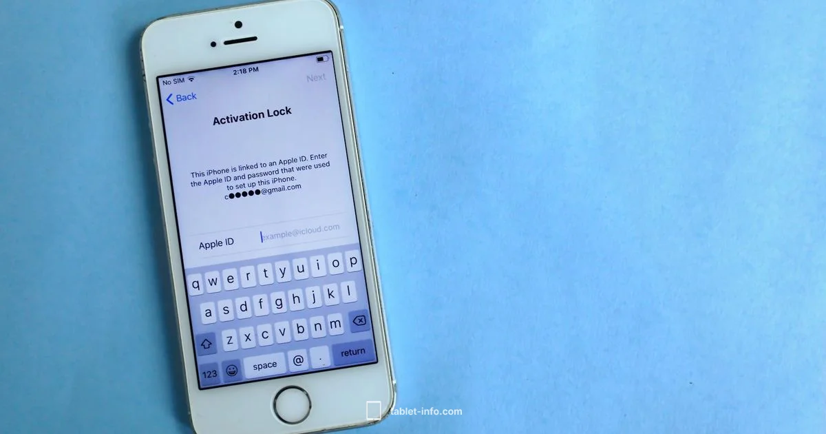 Unlock Status Guide - Tablet Info