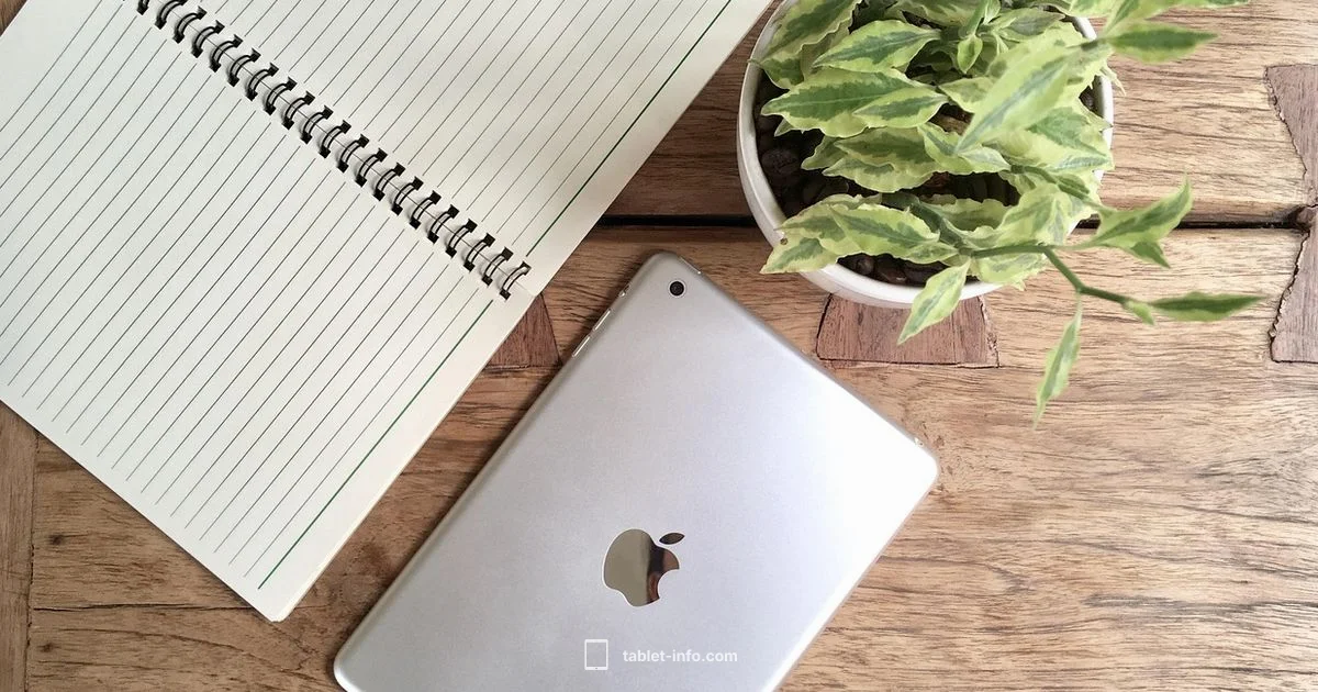 iPad vs Samsung iPad vs Samsung - Tablet Info