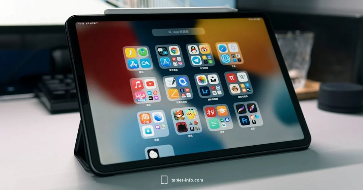 13 ipad Explained - Tablet Info