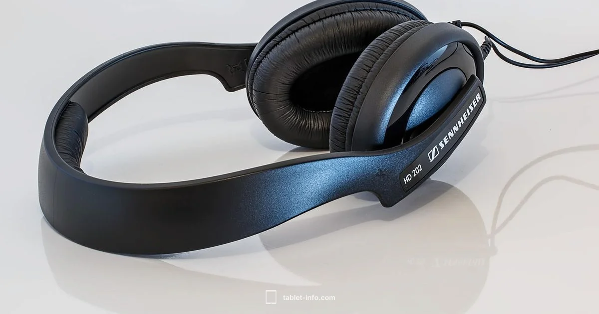 Two-Headphone iPad - Tablet Info