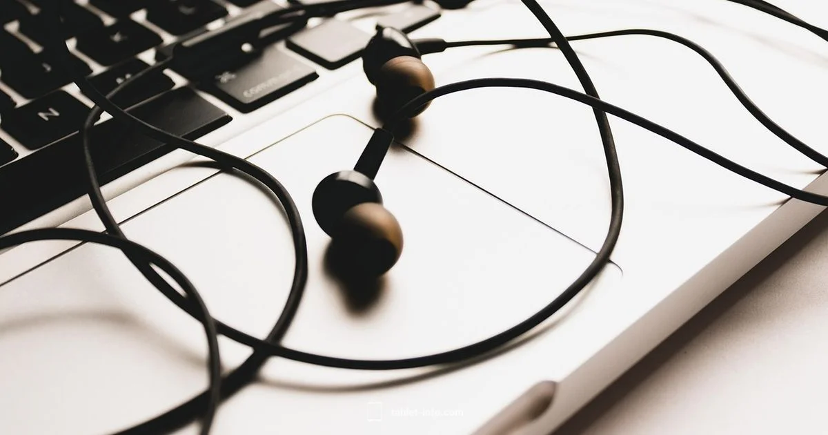 iPad Pro Case Guide - Tablet Info