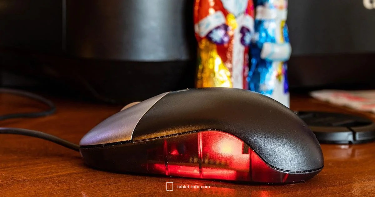 Mouse on iPad Mouse on iPad - Tablet Info