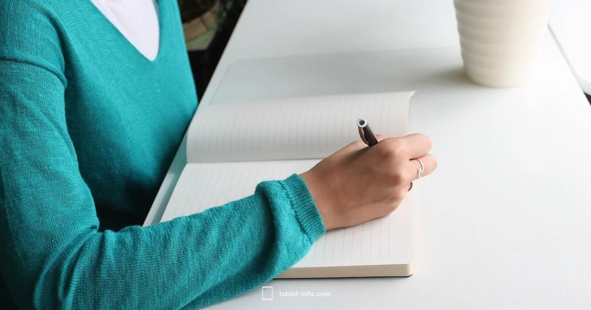 Note Taking on iPad mini - Tablet Info