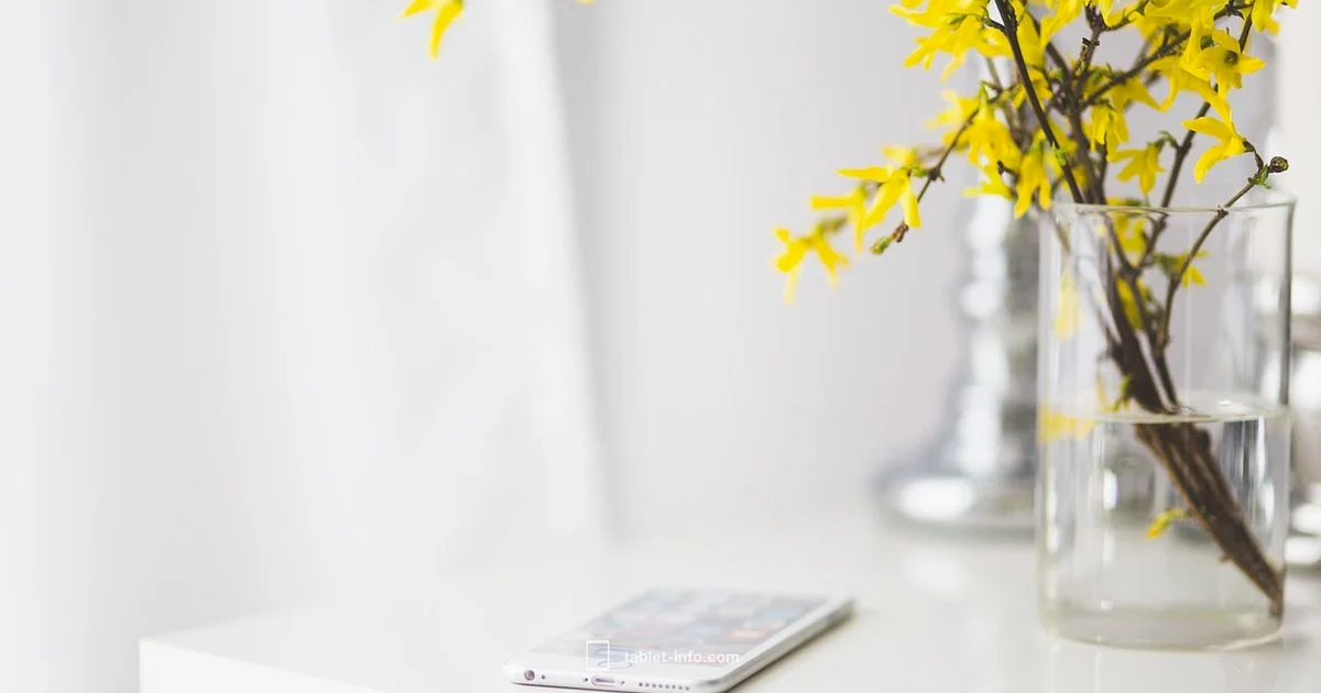 iPadOS Explained - Tablet Info