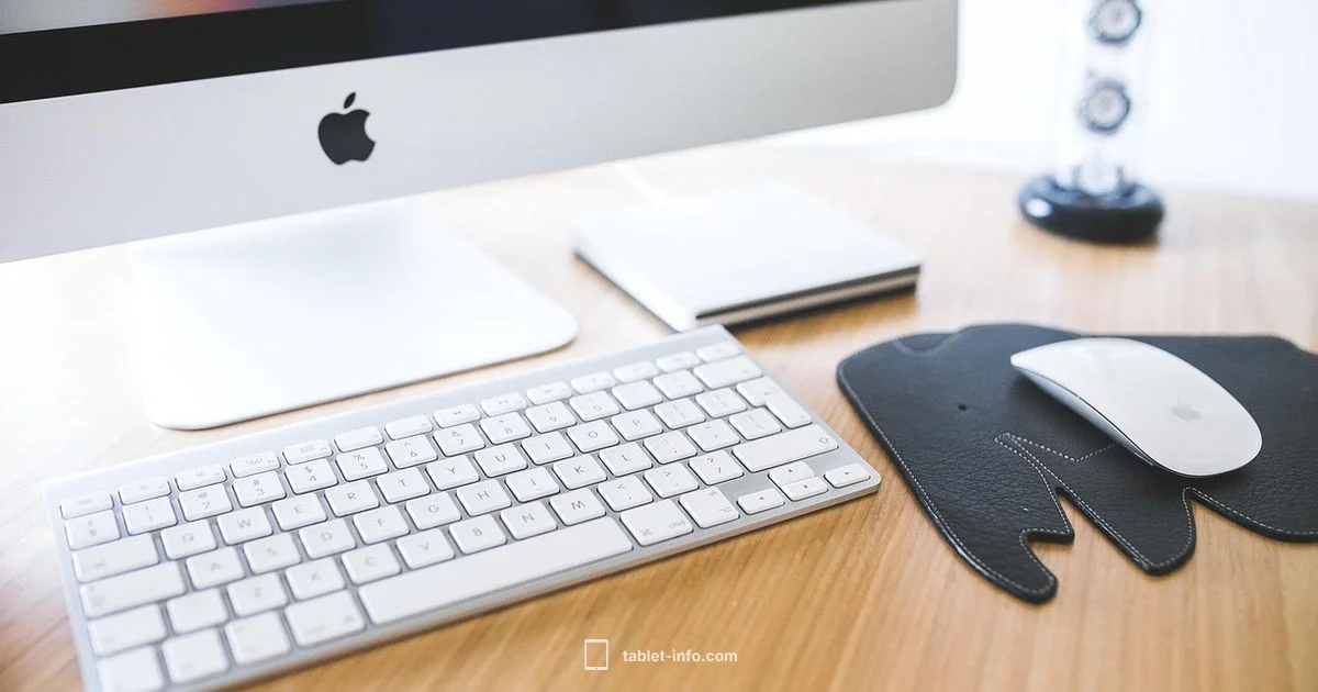 Verify Your iPad Verify Your iPad - Tablet Info