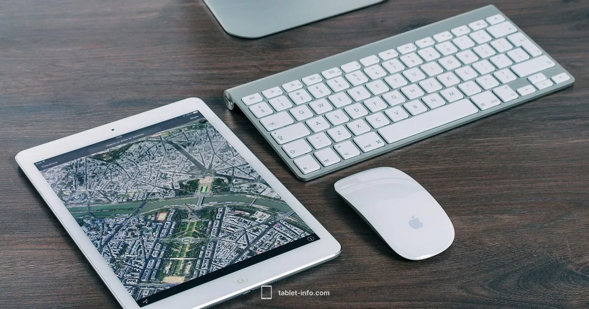 Weight Showdown Weight Showdown - Tablet Info