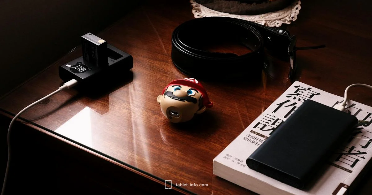 Charger for iPad - Tablet Info