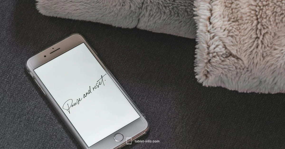 Reset Locked iPad Reset Locked iPad - Tablet Info