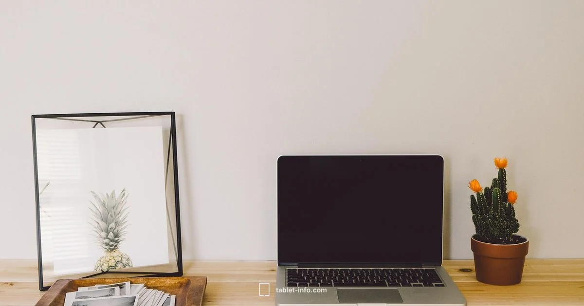 Best iPad Value - Tablet Info