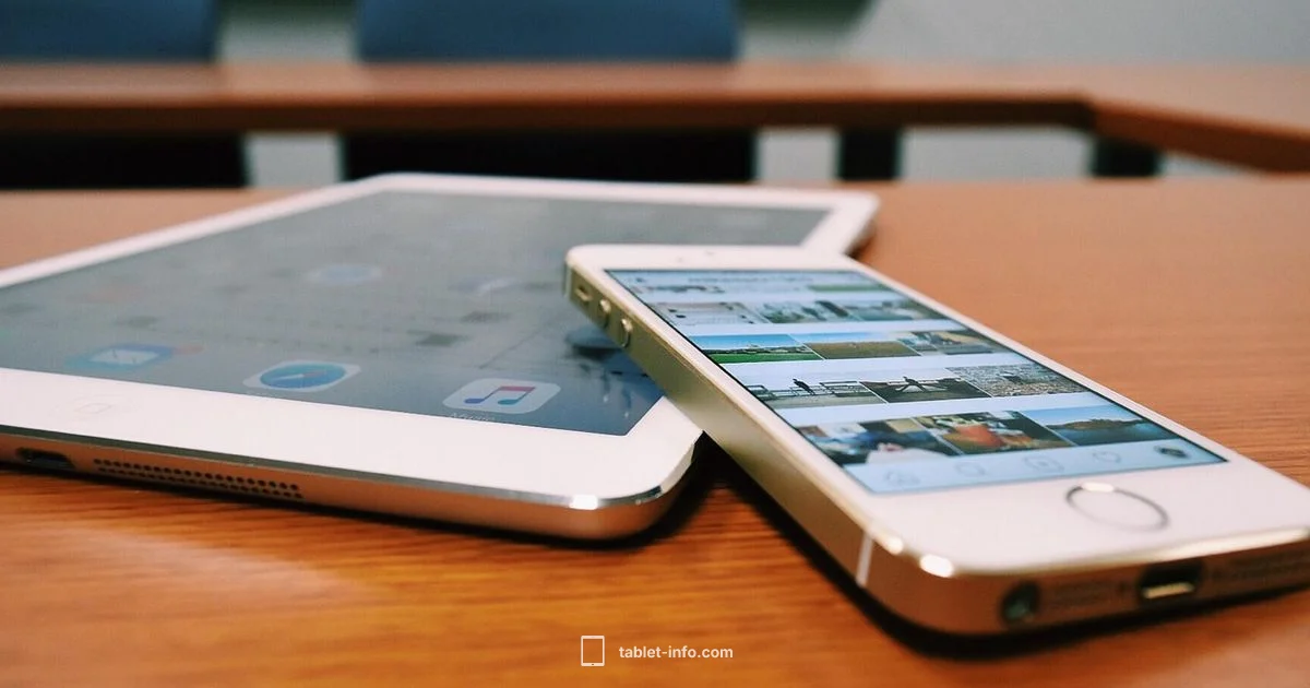 Fortnite on iPad Fortnite on iPad - Tablet Info