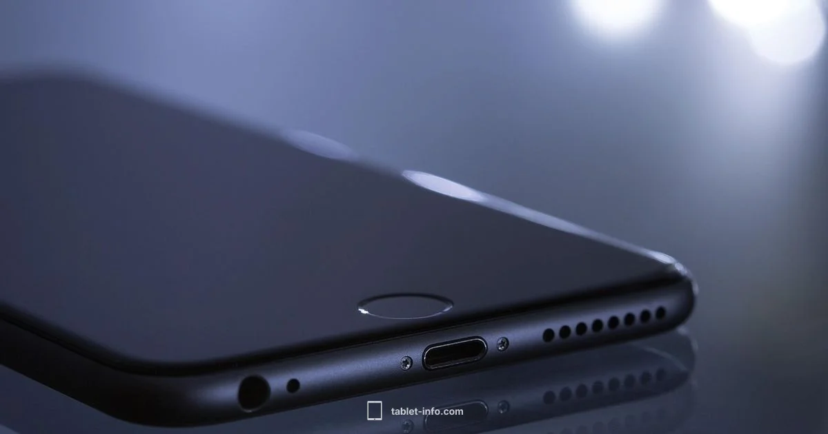 Cellular iPad Basics - Tablet Info