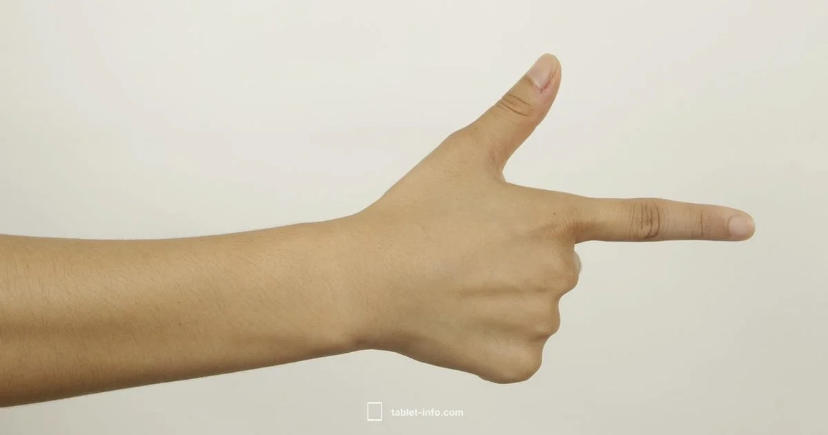 No Home Button iPads - Tablet Info