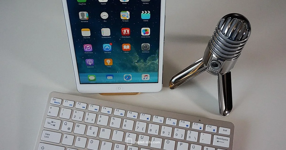 iPad Microphones Explained - Tablet Info