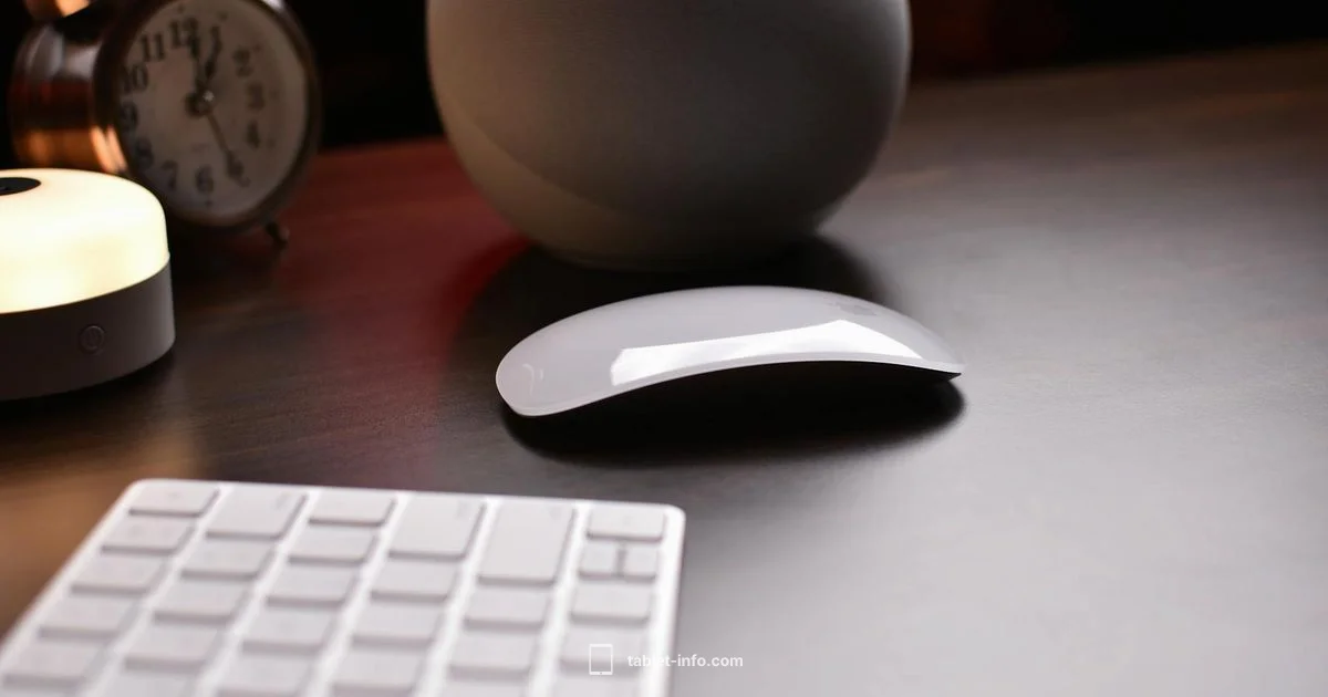 Compact Tablet Pioneer - Tablet Info