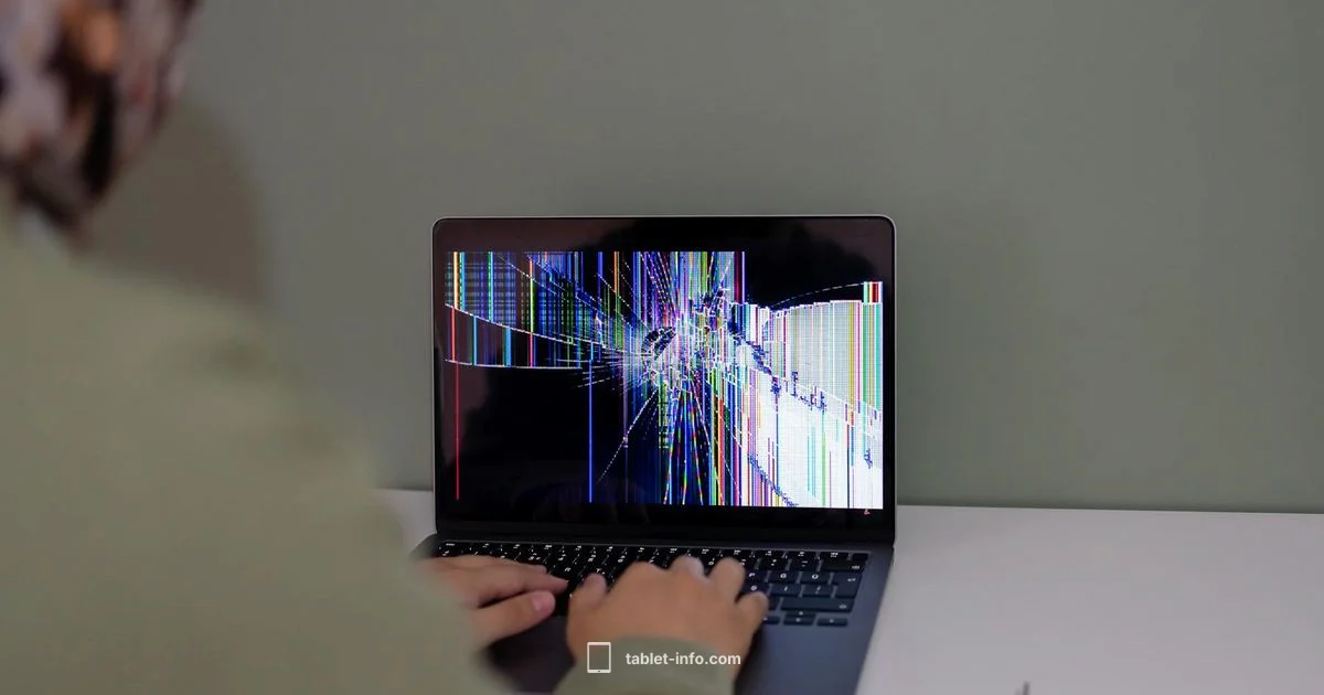 iPad Battery Fix - Tablet Info