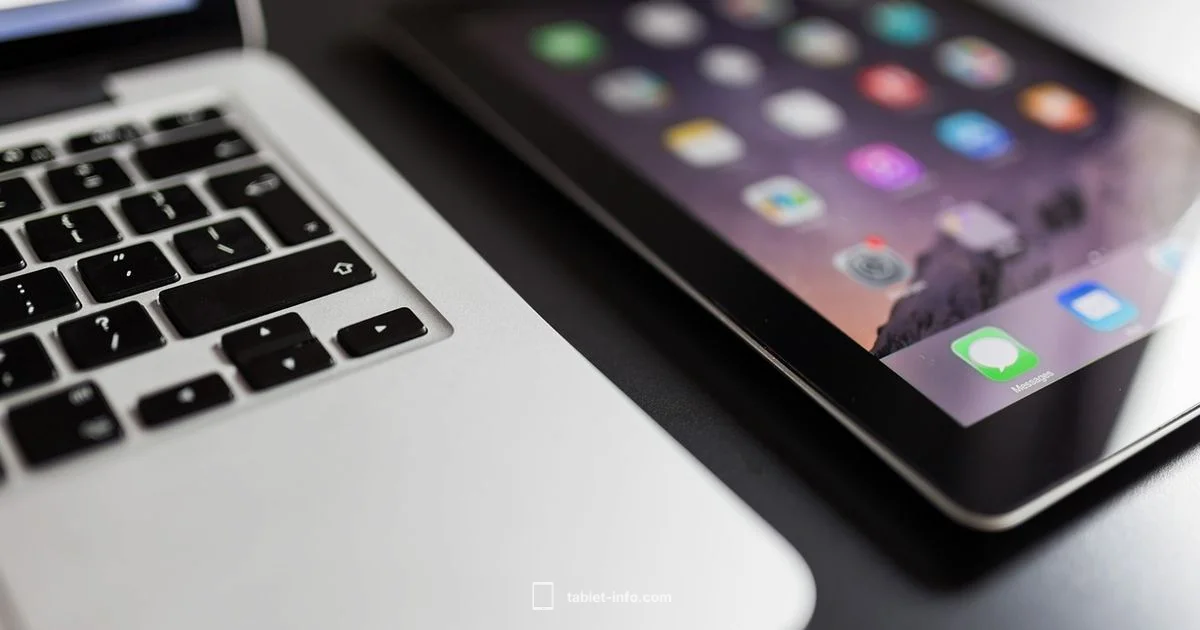 iPad Serial Check - Tablet Info