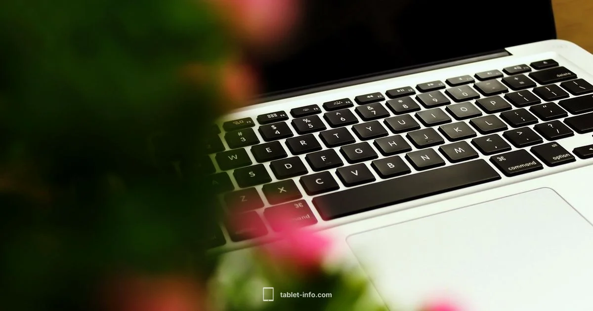 Work on iPad Pro - Tablet Info