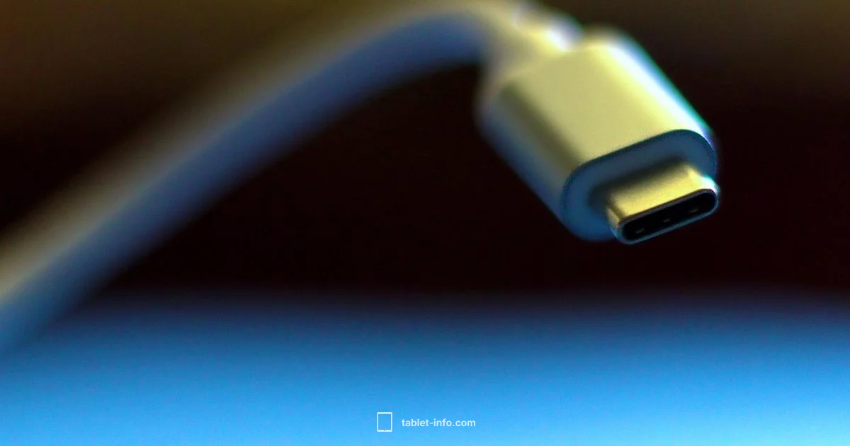 iPad Charging Guide - Tablet Info