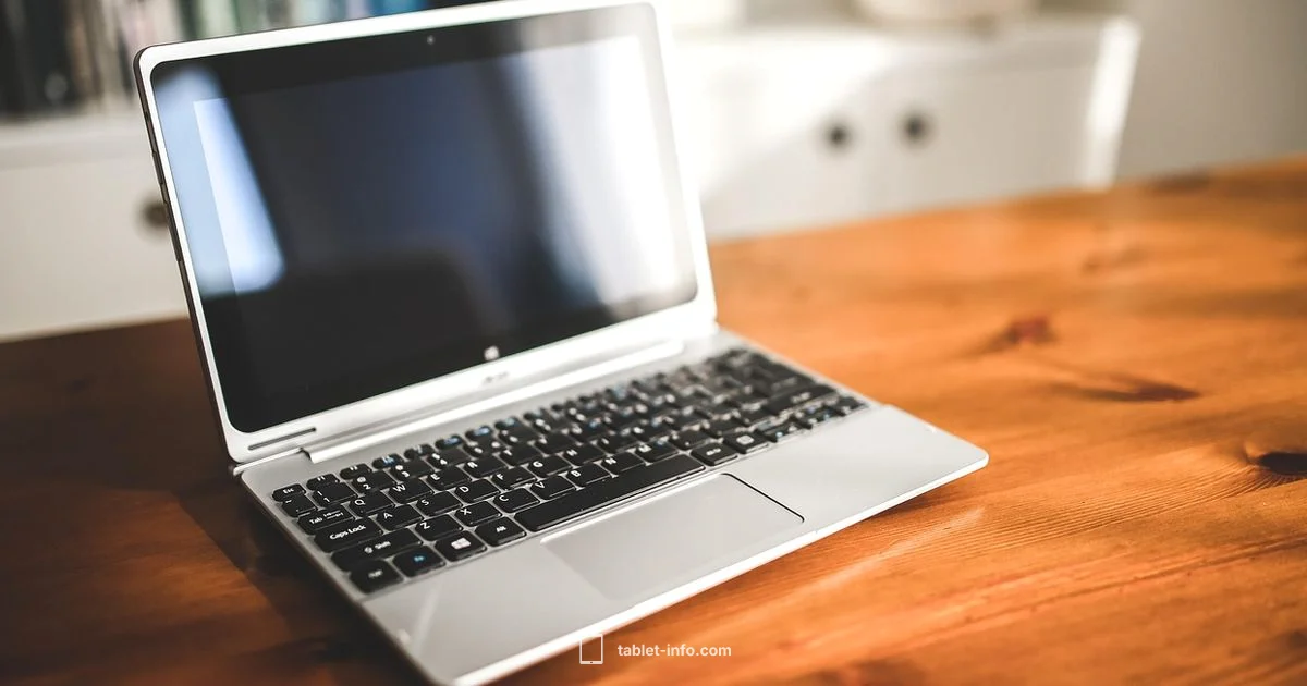 iPad Power Issues - Tablet Info